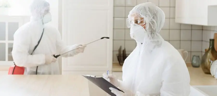 Different Types of Pest Control Methods | 24*7pms